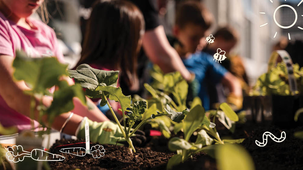 Kids planting a school garden